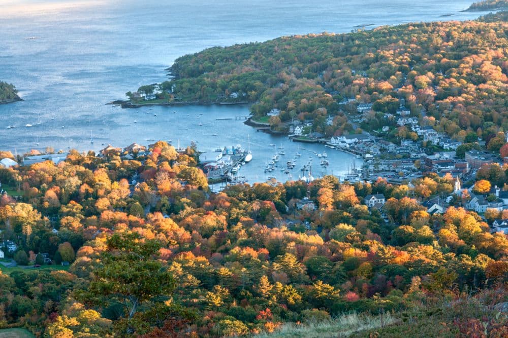 Aerial view of a colorful autumn landscape featuring a harbor and scattered boats.